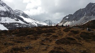 雪山下的荒野徒步之路