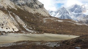 雪山下的开阔谷地景观
