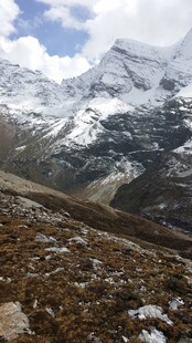 雪山下的荒野风光
