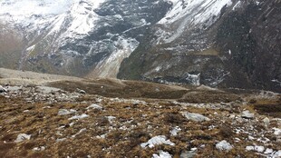 雪山下的荒野景观