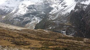 雪山下的开阔山野景观