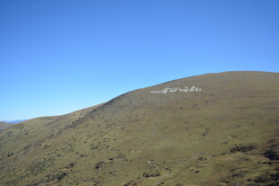 山坡上的白色大字景观