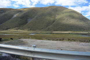 公路旁的秀丽山野风光