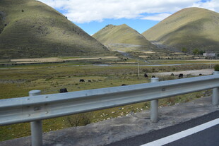 公路边的青山绿野风光