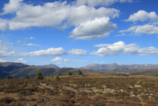 蓝天白云下的山野风光