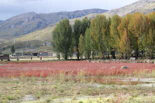 秋日原野多彩风光