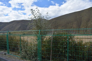 户外绿色围栏与远山风景