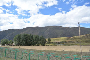 草原围栏外的远山风景