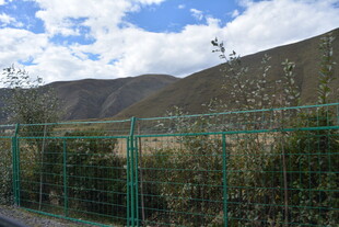 绿色围栏旁的山野景致