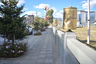 城市街道旁的景观建筑