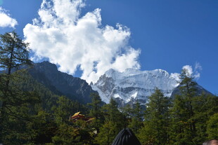 雪山森林间的壮丽景致