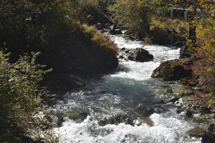 山间溪流潺潺流淌