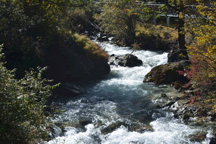 山间溪流潺潺 秋色相伴