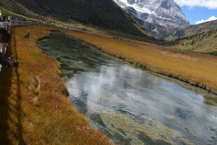 山间清澈溪流映雪山美景