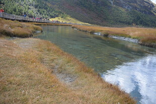 山间溪流旁的金黄草地
