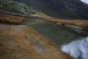 山间清澈小河畔的景致