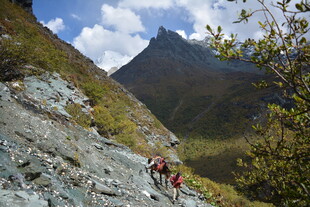 山间徒步者攀登崎岖山路
