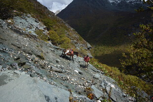户外登山者攀爬陡峭山坡