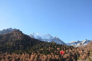 秋日山林与远处雪山美景
