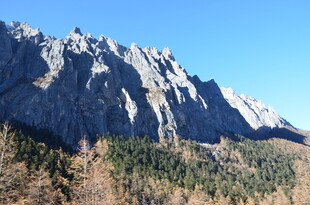 巍峨山峦与葱郁林木景观