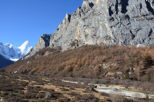 壮丽山景下的开阔地貌