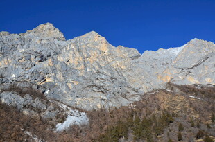 壮丽山景与稀疏林木