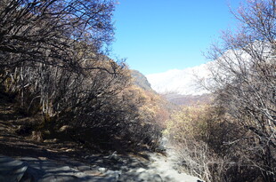 山间溪流冬日景致