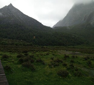 云雾缭绕的山间草地景观