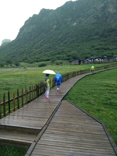 雨中漫步木栈道赏美景