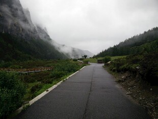 山间云雾缭绕的幽静道路