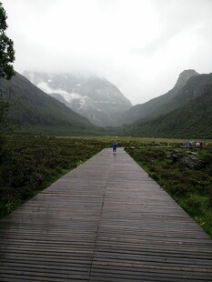 雨中漫步山间木栈道