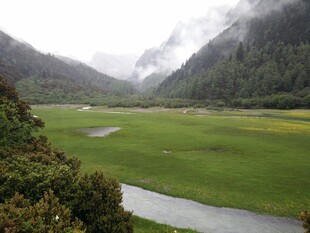 山间绿野溪流美景