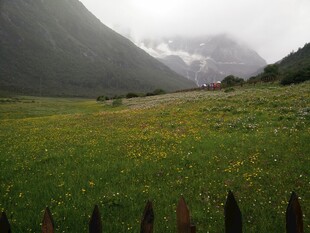 山间绿野 云雾缭绕之景