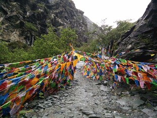 山间五彩经幡装点的小路