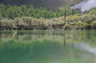 翠绿山林环绕的静谧湖水