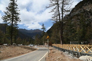 山间公路旁的木质桥梁