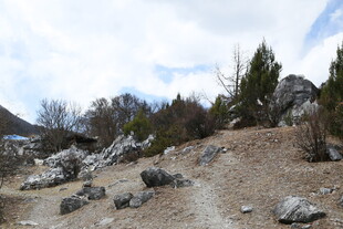 山间碎石小径风景