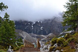 山间云雾缭绕的木质步道