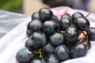 新鲜紫葡萄
