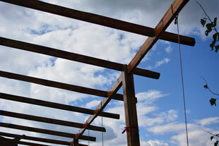 蓝天映衬下的木质架构