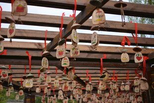 祈福牌悬挂于木架之上 稻城