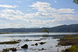 湖畔孤树 山水相映成趣 稻城