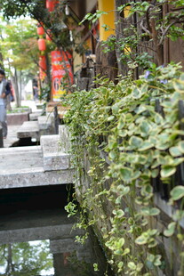 江南水乡绿植环绕的小径 稻城