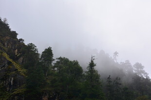 山林云雾缭绕的静谧景致 稻城