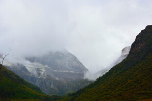 云雾缭绕的壮丽山间景色 稻城