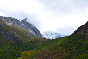 山间云雾缭绕的秀丽景致 稻城