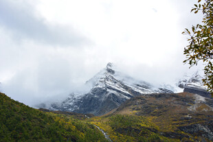 雪山美景与葱郁山林 稻城