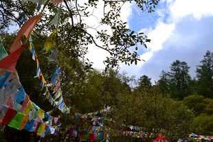 山间飘扬的五彩经幡 稻城