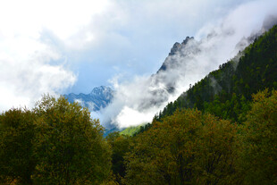 山间云雾缭绕的秀丽景致 稻城