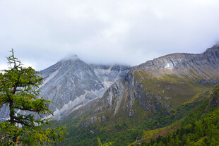 山间绿树与云雾缭绕山峰 稻城